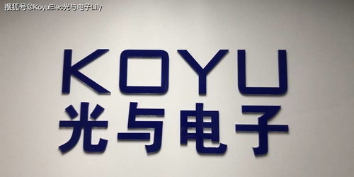 數字文化新體驗 維安、光與電子及數字創意服務的融合之路