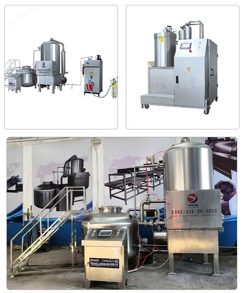 秋葵脆油炸設備 脆棗真空油炸機 全自動低溫真空油炸機