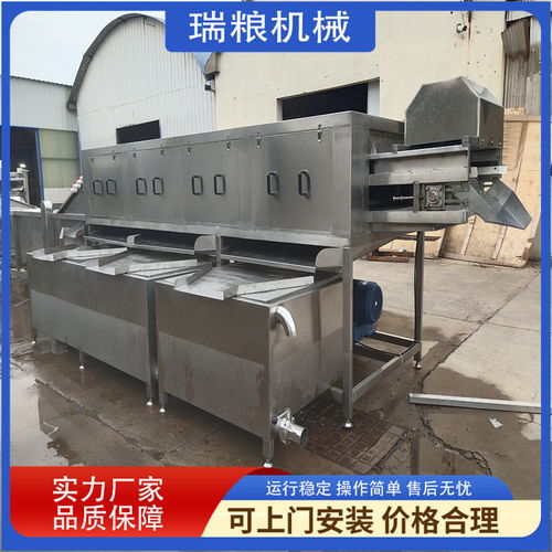 瑞糧機(jī)械生產(chǎn) 大姜加工設(shè)備 洗姜機(jī)器 鮮姜去泥設(shè)備